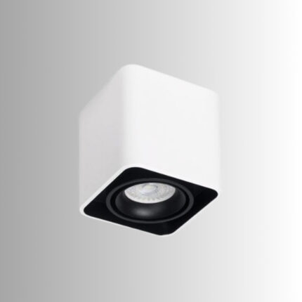 PLAFON 1L TORONTO PAR16 CARDANICO BLANCO