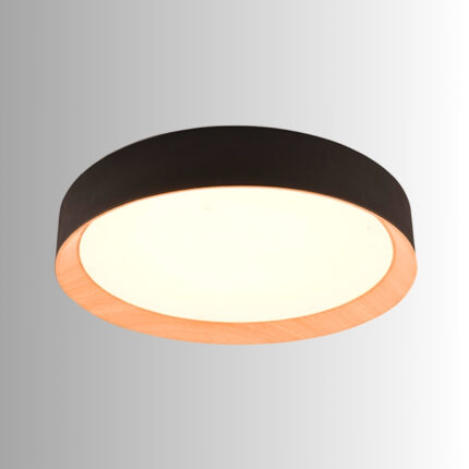 PLAFON HOLE-M 36W
